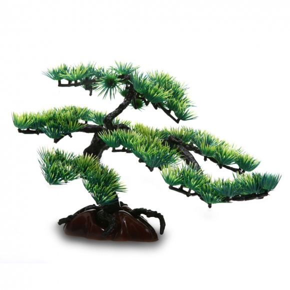 Бонсай сосна 1578500