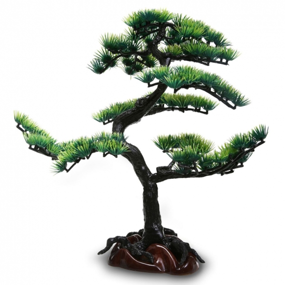 Бонсай сосна 1578200